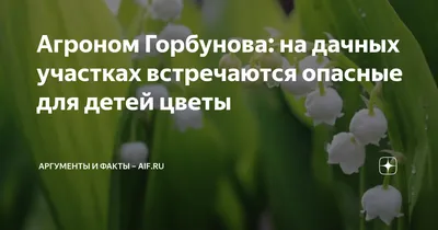 Агроном-почвовед: обучение дистанционно в колледже после 9 и 11 класса. Где  и сколько учиться, чтобы получить образование по профессии Агроном-почвовед  заочно, какие экзамены сдавать — АНПОО «НСПК»