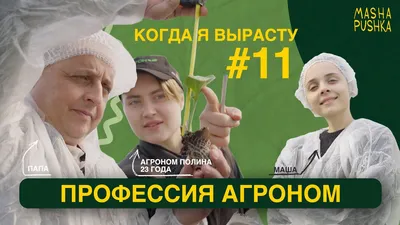 Купить постер (плакат) Агрономы в поле на стену для интерьера