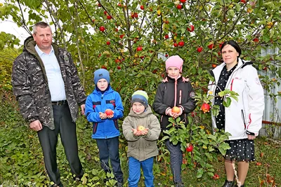 Агроном Горбунова: на дачных участках встречаются опасные для детей цветы |  Аргументы и факты – aif.ru | Дзен