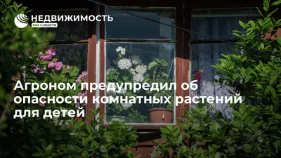 Сельскохозяйственные профессии для детей - Лучшее. Воспитателям детских  садов, школьным учителям и педагогам - Маам.ру