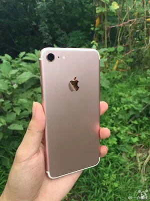 Фото розового iPhone 7 в руке