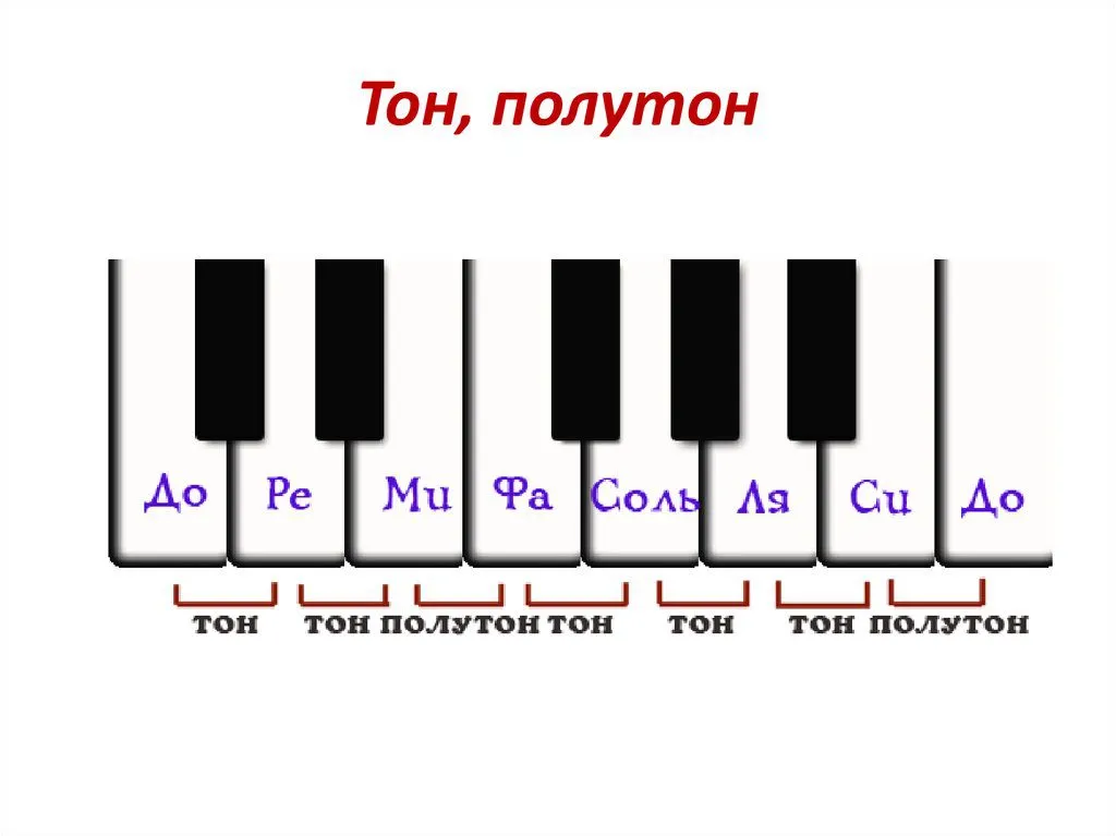 Написать октаву. Схема клавиатуры фортепиано тон полутон. Клавиатура по сольфеджио тон и полутон. Тон и полутон на клавиатуре фортепиано. До мажор гамма тон тон полутон.