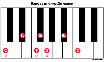 Аккорды для синтезатора в картинках фотографии