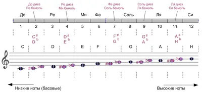 базовый шаблон вектора значка диаграммы гитарных аккордов PNG , шнур, ключ,  иллюстрация PNG картинки и пнг рисунок для бесплатной загрузки