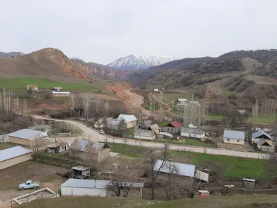 Выборы акима Аксы. Правительство заявило о родо-племенном делении