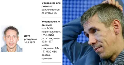 От всего сердца!\" - скандально известный актер Алексей Панин поддержал  Украину, обратившись к россиянам - | Диалог.UA