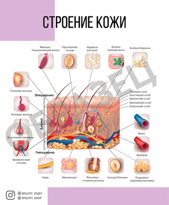 Акция \"Письмо солдату\"