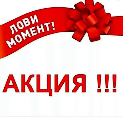 Краснодарцы могут принять участие во Всекубанской акции «Своих не бросаем»  :: Krd.ru