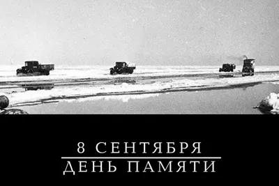 Всероссийская акция «Окна Победы» |РДШ — Российское движение школьников