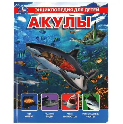 Мягкие игрушки для детей Мягкая игрушка Акула, 80 см