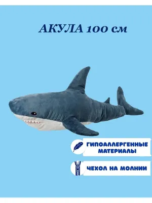 Энциклопедия для детей – Акулы, 100 фактов от Росмэн, 35068ros - купить в  интернет-магазине ToyWay.Ru