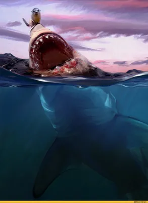 Картинки на тему #акула - в Шедевруме