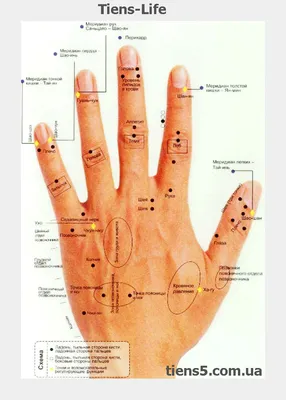 Акупунктура руки на фото в высоком разрешении
