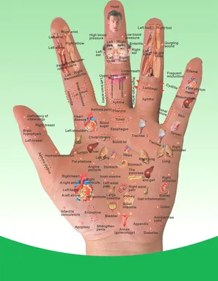 Фото акупунктуры руки для медицинских исследований
