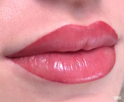 Татуаж губ в стиле акварель: фото с разными формами губ