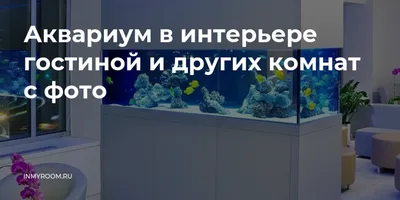 Небольшой Аквариум Аквариума С Разноцветными Улитками И Рыбой Дома На  Деревянном Столе Рыбный Лук С Пресноводными Животными В Комнате — стоковые  фотографии и другие картинки Аквариум - iStock