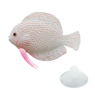 Клоун-рыба на фото: красочное изображение