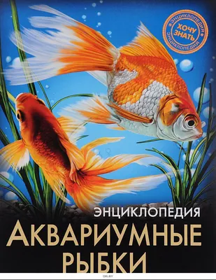 Коллективная работа детей “Аквариумные рыбки” (гр.№7) – МБДОУ \"Детский сад  № 185 \"Юбилейный\"