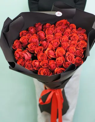 Купить 51 алая роза (эквадор) 60 см в Москве - 7 650 руб. | Бесплатная  доставка