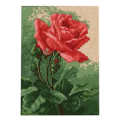 51 ароматная красная роза в корзине | купить недорого | доставка по Москве  и области | Roza4u.ru