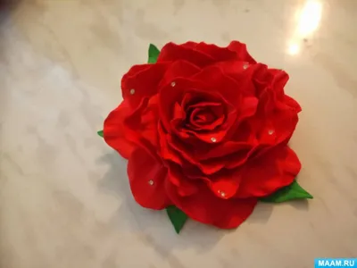 Такая разная красная роза. | Вокруг цветка на Floristania