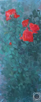 51 Роза | Алая Роза