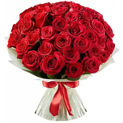 51 алая роза с бесплатной доставкой по Москве, цена 331500 руб. ❁  ArenaFlowers