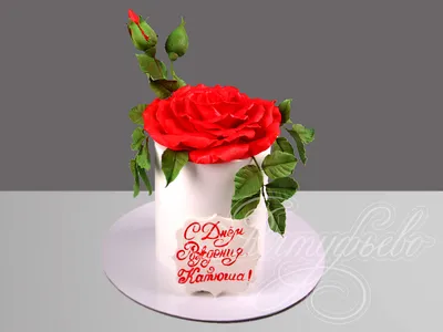 101 красная роза, 80 см купить в Киеве: цена, заказ, доставка | Магазин  «Камелия»