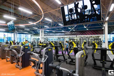 Фитнес-клуб «ALEX Fitness» (Калибр) в Челябинске - отзывы, цены на  абонементы, фото, адрес, телефон и режим работы.