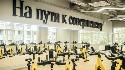 Прайс-лист Фитнес-клуба Alex Fitness на проспекте Энгельса - Фитнес клубы -  Санкт-Петербург