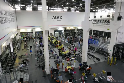Alex Fitness / Алекс Фитнес» - сеть фитнес-клубов - «Алекс Фитнес 2020.  Видеокамера в раздевалке, грязная вода с потолка, склеенный скотчем  солярий, неожиданный кипяток в душе и никакой компенсации при отключении  горячей воды! » | отзывы