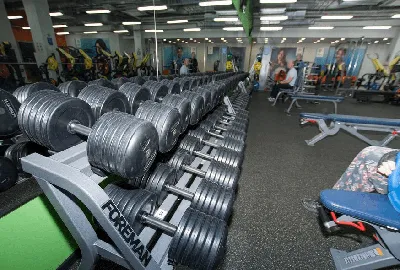 Отзыв о Фитнес-клуб Alex Fitness (Россия, Волгоград) | Обычный фитнес-клуб,  со своими нюансами, за приемлемую цену.