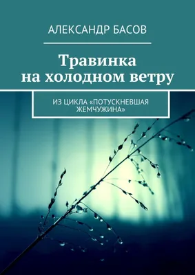 Камень богов Александр Басов — читать книгу онлайн в Букмейте