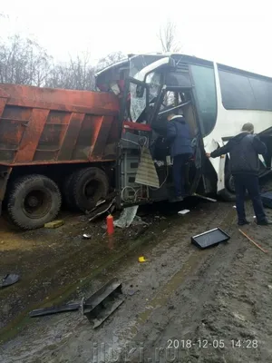 Казахстан входит в список государств с высокой смертностью на дорогах - МК  Казахстан