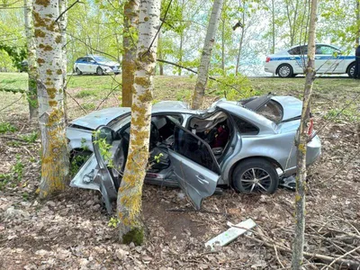 ДТП в Киевской области - фура со свиньями сплющила автомобиль, есть жертва,  фото, видео - 24 Канал