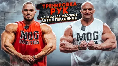Александр Федоров ProfiPump Fitness | Красногорск | Reserva online
