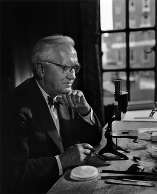 Alexander Fleming on antiseptics | Antibiotics, Bacteriology, Penicillin |  Britannica