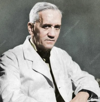 Portrait Of Sir Alexander Fleming by Science Photo Library