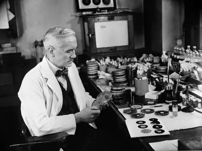 Alexander Fleming, Scottish bacteriologist, c1930s - Stock Image -  C040/9811 - Science Photo Library