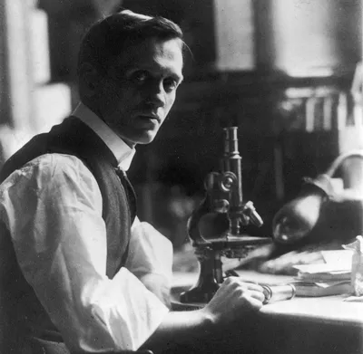 Penicillin Wasn't Alexander Fleming's First Major Discovery | Scientific  American