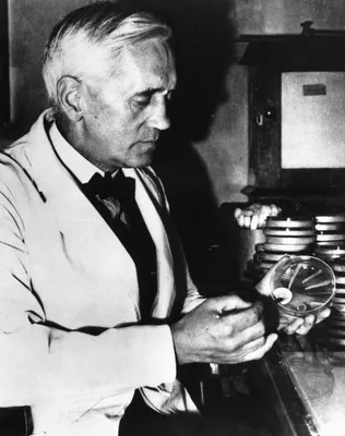 Alexander Fleming | Science History Institute