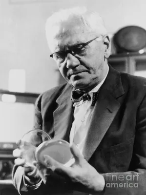 Sir Alexander Fleming Poster by Greg Joens - Fine Art America