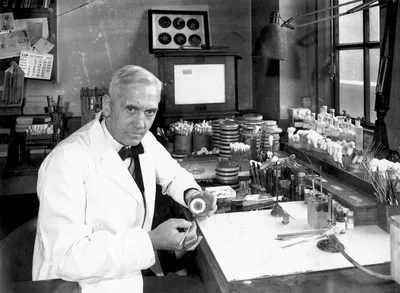 Sir Alexander Fleming - Stock Image - H406/0270 - Science Photo Library