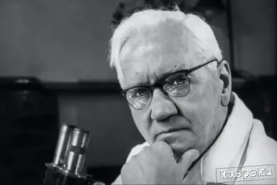 Alexander Fleming: The Inventor of a Life Saving Antibiotic