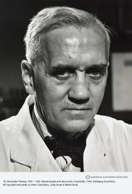 Painting With Penicillin: Alexander Fleming's Germ Art | Science|  Smithsonian Magazine