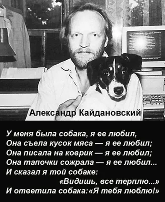 Развелся с Симоновой, умер в 49 после трех недель брака с Пиварс. Чужой  среди своих Александр Кайдановский | STARHIT