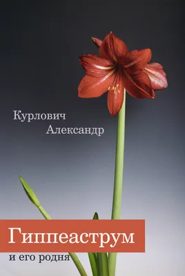 Александр КУРЛОВИЧ: ВСЕГДА НА СТОРОНЕ СПОРТСМЕНА - Спортивная панорама