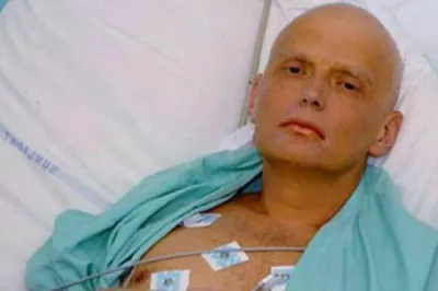 ЕСПЧ обвинил власти РФ в убийстве Литвиненко и потребовал выплатить €100000  | KM.RU