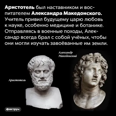 Александр Македонский: истории из жизни, советы, новости, юмор и картинки —  Все посты | Пикабу