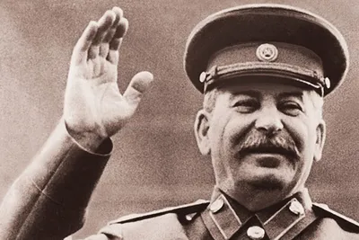 Моего Яшу немцы тоже замучали…» - с болью сказал товарищ Сталин! Как  сталинская «золотая молодежь» воевала и умирала за Родину! | Пикабу